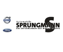 Automobile Sprungmann